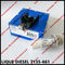 nozzle valve kit 7135-661 , 7135 661 , 7135661, Genuine and New DELPHI NOZZLE 137PRD +CONTROL VALVE 28538389  /9308-621C supplier